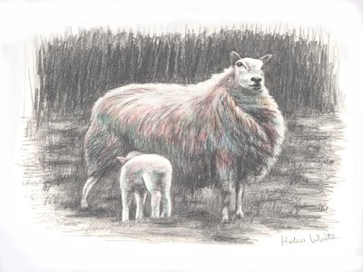 Proud, 2016, (blyantstegning) af Helen White