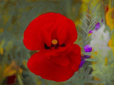 Scarlet, 2019 af Helen White