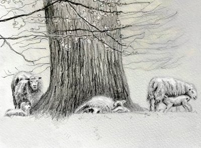 Shady Tree, 2022 af Helen White