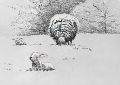 Sheep Trio, 2022 af Helen White