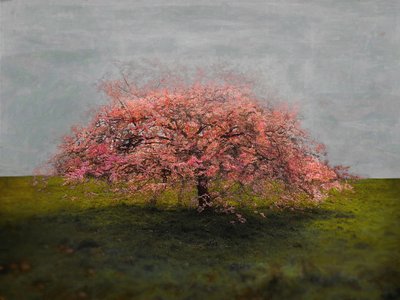 Stand Alone Beauty, 2019 af Helen White