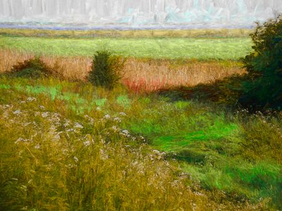 Summer Meadow, 2019 af Helen White