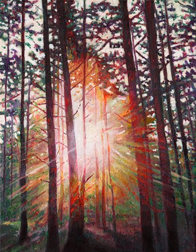 Sunburst, 2010 af Helen White