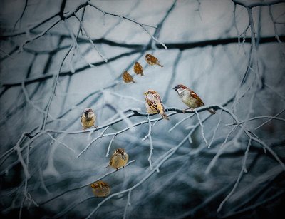 Vrimler med liv, 2019 af Helen White