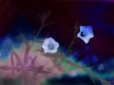 Forgængelighed, 2019 af Helen White