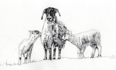 Vi tre, 2012 af Helen White