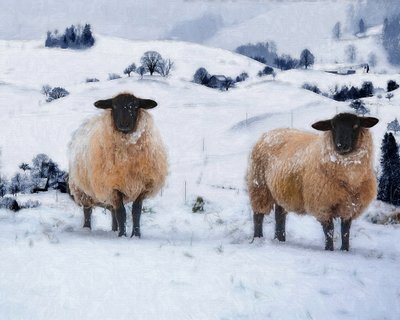 Vinterfrakker, 2019 af Helen White