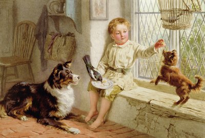 Venner af Helena J. Maguire