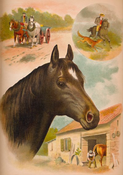 Hesten, c1900 af Helena J. Maguire