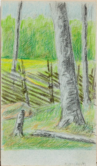 Ohne Titel af Helene Schjerfbeck