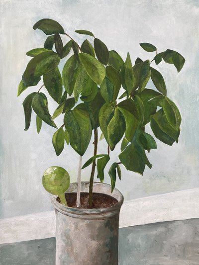 Stilleben med potteplante af Heléne Sikdal