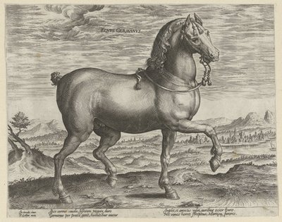 Hingst fra Tyskland Eqvvs Germanvs (titel på objekt) Hesteracer fra de kongelige stalde i Don Juan af Østrig (serietitel) Equile Ioannis Austriaci Caroli (serietitel) af Hendrick Goltzius (possibly)