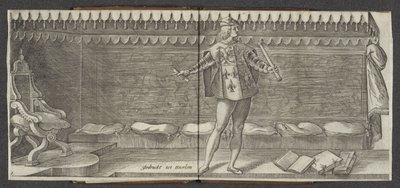 Herald Oprindelse og kort historie om greverne af Hollandt Zeelandt og de Vrieslandt (serietitel) Grever og grevinder af Holland (serietitel) af Hendrick Goltzius