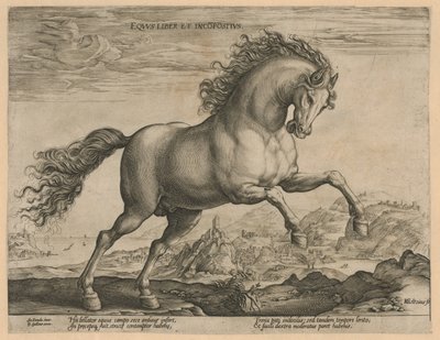 vild hest Eqvvs liber et incompǒsitvs (titel på objekt) Hesteracer fra de kongelige stalde i Don Juan af Østrig (serietitel) af Hendrick Goltzius