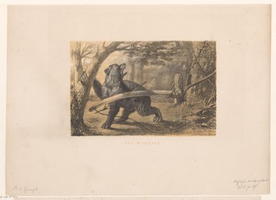 bjørn i en fælde Wildbow (titel på objekt) af Hendrik Adriaan Christiaan Dekker