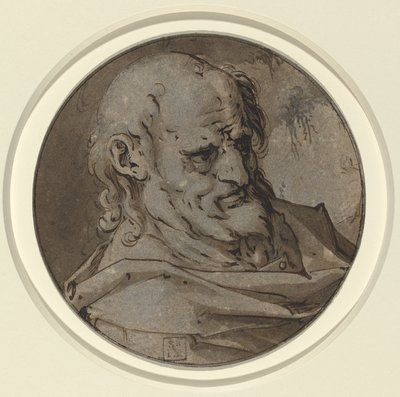 Hoved af en apostel af Hendrik Goltzius