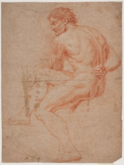 Mandlig modelstudie af Hendrik Krock
