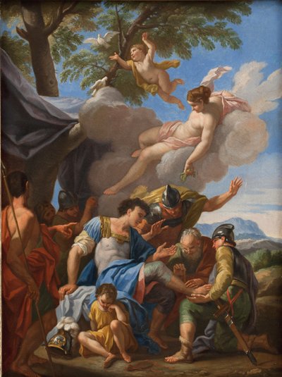 Venus bringer simple til den sårede Aeneas af Hendrik Krock