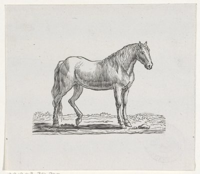Hest af Hendrik Numan