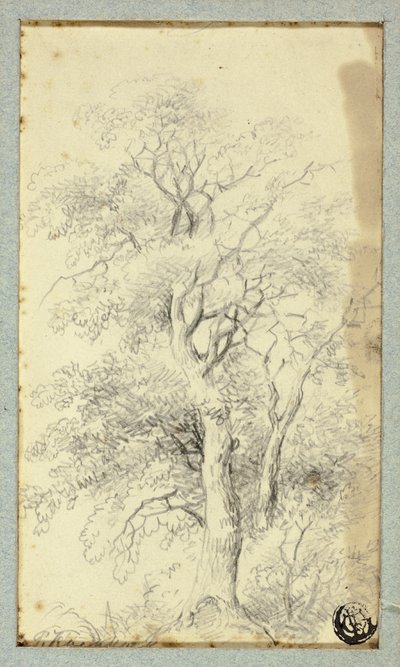 Træ af Hendrik Pieter Koekkoek