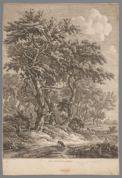 Landskab ved Zuidlaren I Zuidlaren (titel på objekt) Ni ansigter i Drenthe (serietitel) IX Ansigter i og nær Drenthes landskab (serietitel) af Hendrik Schwegman