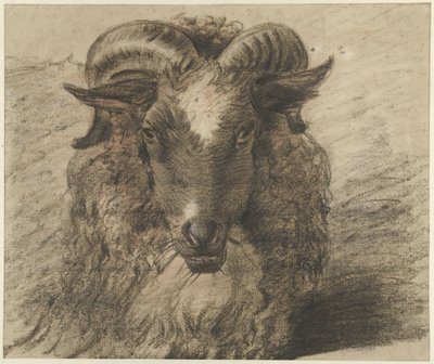 Hovedet af en vædder af Hendrik Stokvisch