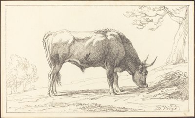 En ung Tyr, der græsser af Hendrik Voogd