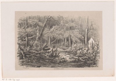 Træer blæst ned på Jacobalaan efter stormen den 28. maj 1860 Jacobalaan (titel på objekt) Album med ti litografiske skitser, forestillende Tooneelen af ​​ødelæggelsen, ophidset af stormen den 28. maj 1860 i 