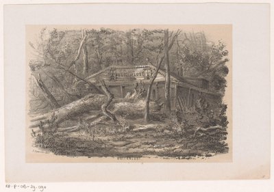 Træ blæst ned ved Buitenlust efter stormen den 28. maj 1860 Buitenlust (titel på objekt) Album med ti litografiske skitser, forestillende Tooneelen af ​​ødelæggelsen, ophidset af stormen den 28. maj 1860 i 