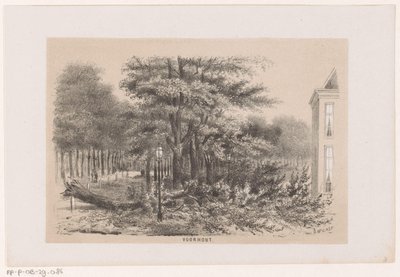 Træ blæst ned nær Voorhout efter stormen den 28. maj 1860 Voorhout (titel på objekt) Album med ti litografiske skitser, forestillende Tooneelen af ​​ødelæggelsen, ophidset af stormen den 28. maj 1860 i 