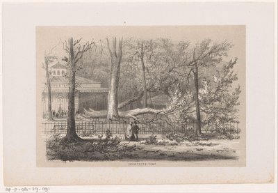 Træ blæst ned i klubben efter stormen den 28. maj 1860 Socialt telt (titel på objekt) Album med ti litografiske skitser, forestillende Tooneelen af ​​ødelæggelsen, ophidset af stormen den 28. maj 1860 i 