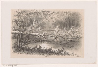 Træ blæst, efter stormen den 28. maj 1860 Dam (titel på objekt) Album med ti litografiske skitser, forestillende Tooneelen af ​​ødelæggelsen, ophidset af stormen den 28. maj 1860 i 