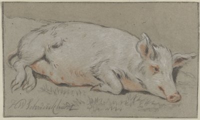 liggende gris af Hendrik Willem Schweickhardt (signed by artist)