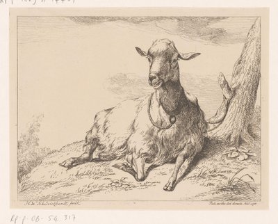 liggende ged Forskellige dyr (serietitel) af Hendrik Willem Schweickhardt