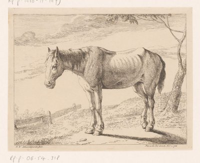 Hest Forskellige dyr (serietitel) af Hendrik Willem Schweickhardt