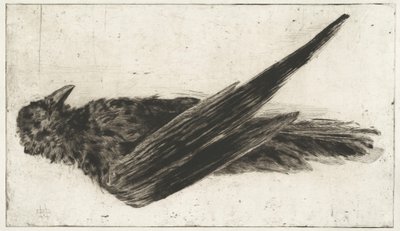 Den store hængende ravn af Henri-Charles Guérard
