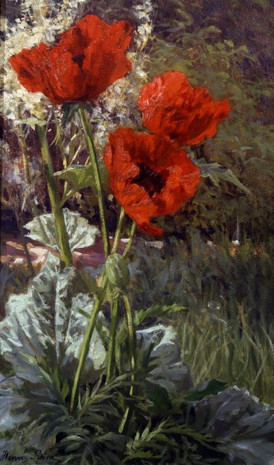 Valmuer. Maleri af Henri Biva (1848-1928) Privat samling. af Henri Biva