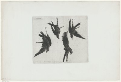 Fire døde krager hængende på en væg af Henri Charles Guérard (signed by artist)