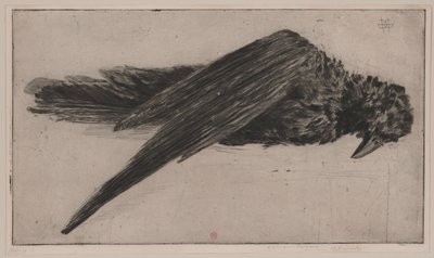 Den store hængende ravn (Le Grand Corbeau Pendu), af Henri Charles Guérard