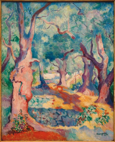 Oliventræer i Cavalière af Henri Charles Manguin