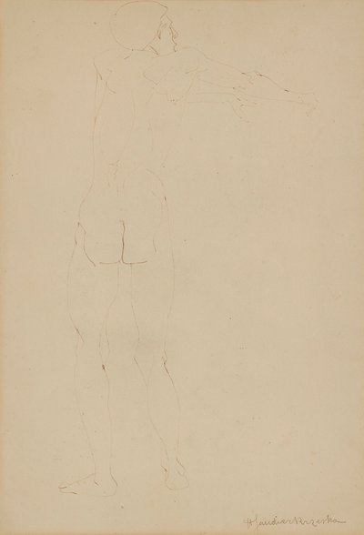 Mand nøgen (pen på papir) af Henri Gaudier-Brzeska