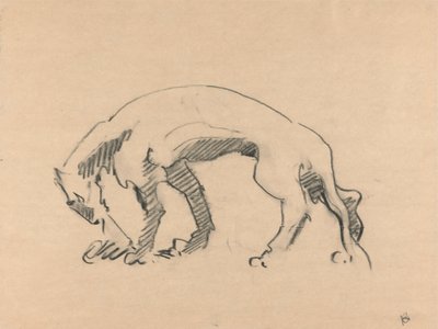 Løvinde i profil af Henri Gaudier Brzeska
