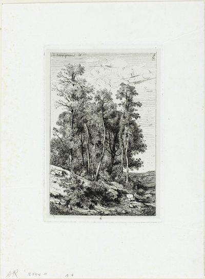 Birke og Eg af Henri-Joseph Harpignies