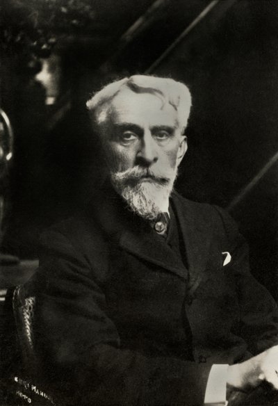 Portræt af den franske maler Albert Aublet ( 1851 af Henri Manuel