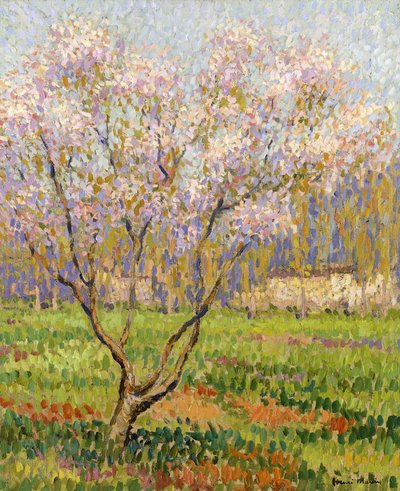 Æbletræ i blomst; Æbleblomster, af Henri Martin