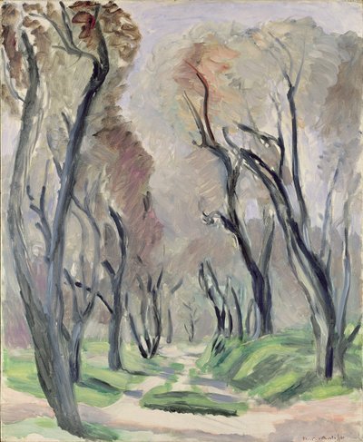 Avenue af oliventræer af Henri Matisse