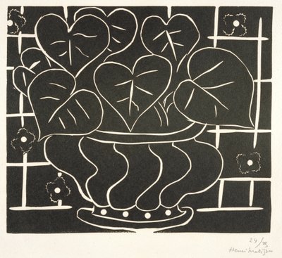 Skål med begonia I af Henri Matisse