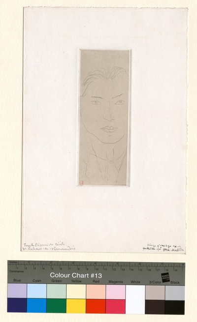 Olivares af Henri Matisse