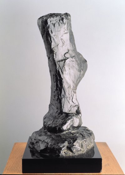 Undersøgelse af en fod af Henri Matisse