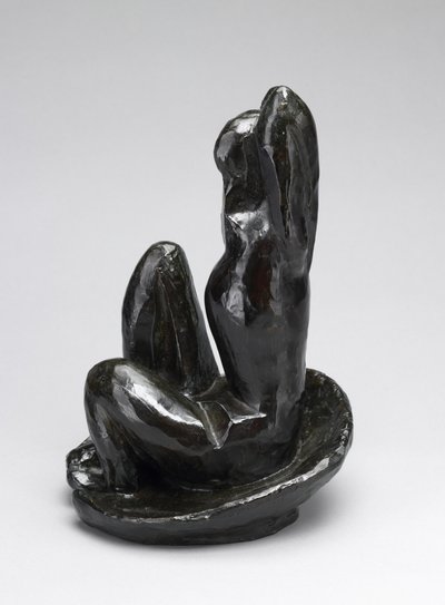 Venus i en skal I af Henri Matisse
